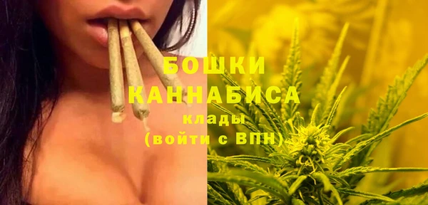 крисы Пестово