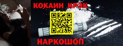 шишки Новодвинск