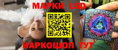 шишки Новодвинск