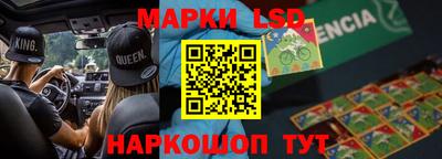 шишки Новодвинск