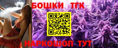 шишки Новодвинск