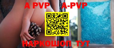 шишки Новодвинск