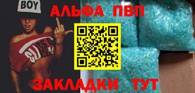 шишки Новодвинск