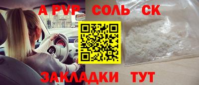 шишки Новодвинск