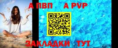 шишки Новодвинск